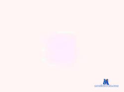timofr cam4 live cam performer profile