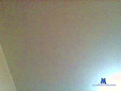 bolook3 cam4 live cam performer profile