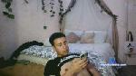 Cowtoy cam4 livecam show performer room profile