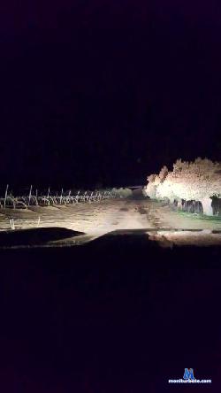 Gerontofilia cam4 live cam performer profile