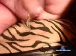 harti1958 cam4 livecam show performer room profile