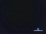 daniel5383 cam4 livecam show performer room profile