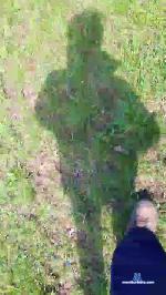 bruno1664 cam4 livecam show performer room profile