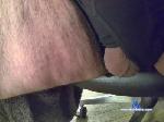 littlecumbig cam4 livecam show performer room profile