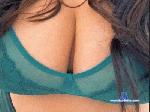 everythingren1 cam4 livecam show performer room profile