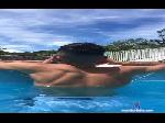 wesley18_sex2 cam4 livecam show performer room profile
