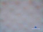 michail7 cam4 livecam show performer room profile