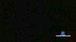 barelona cam4 livecam show performer room profile