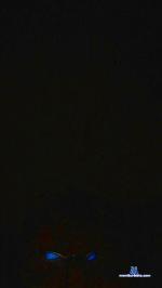 xa30 cam4 livecam show performer room profile