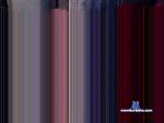 dfdude cam4 livecam show performer room profile
