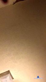tyller_muller cam4 livecam show performer room profile