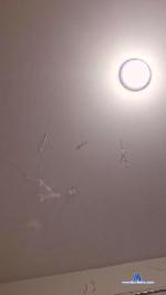 Ogliltias cam4 livecam show performer room profile