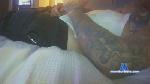 tjluckyone2 cam4 livecam show performer room profile