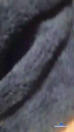 Ayeelp6 cam4 livecam show performer room profile