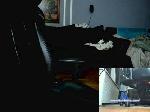 FidelCashtro cam4 livecam show performer room profile