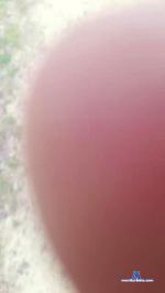 male_france cam4 livecam show performer room profile