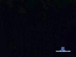 vk_morbo cam4 livecam show performer room profile