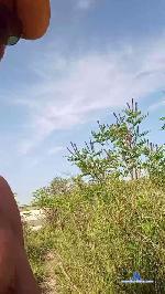 lupoimpact cam4 livecam show performer room profile