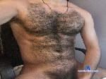 nicehairystud cam4 livecam show performer room profile