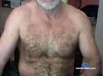 CULAZOTF cam4 livecam show performer room profile