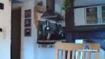 Quatschen94 cam4 livecam show performer room profile