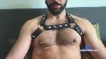 capexxxoli cam4 livecam show performer room profile