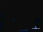 markus42 cam4 livecam show performer room profile