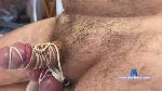 ELFcmSTUMMEL cam4 livecam show performer room profile