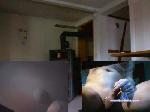 tara12345 cam4 livecam show performer room profile