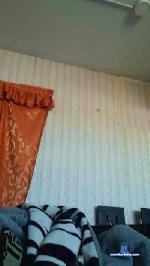 Pequerios cam4 livecam show performer room profile