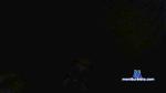 jorgarotoman cam4 livecam show performer room profile