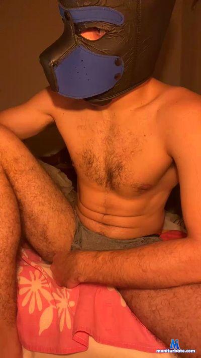 BeastXll cam4 gay performer from Federative Republic of Brazil pornstar Pup 