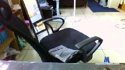 l213099872 cam4 live cam performer profile