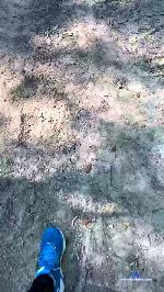 fafa3341 cam4 livecam show performer room profile