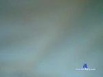 andrea29cm cam4 livecam show performer room profile
