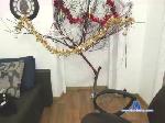 EriccaStone cam4 livecam show performer room profile