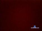 arminxxl1 cam4 livecam show performer room profile