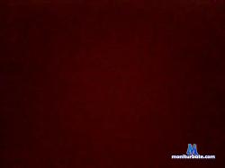 arminxxl1 cam4 live cam performer profile