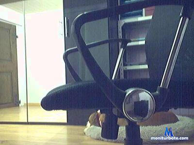 WadeYaeger cam4 gay performer from United Kingdom of Great Britain & Northern Ireland ass puppy underwear pup solo 