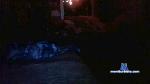 marexx cam4 livecam show performer room profile