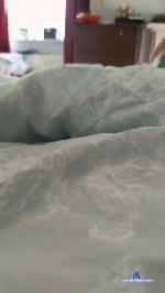 tatuedjay cam4 livecam show performer room profile