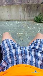 Aramis29 cam4 livecam show performer room profile