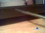 nca66 cam4 livecam show performer room profile