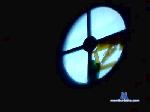 digao082 cam4 livecam show performer room profile