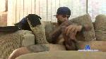 Dotad016 cam4 livecam show performer room profile