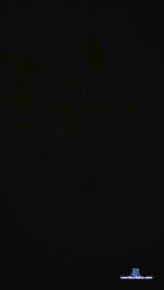 2dogs2 cam4 livecam show performer room profile