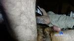 WildeAlex cam4 livecam show performer room profile
