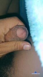 chavez19_fun cam4 livecam show performer room profile