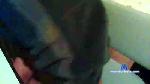 xxchris01 cam4 livecam show performer room profile
