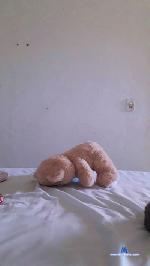 gostoso913 cam4 livecam show performer room profile